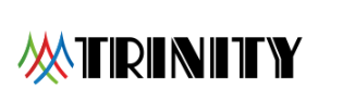 CONSULTTRINITY SERVICES PRIVATE LIMITED